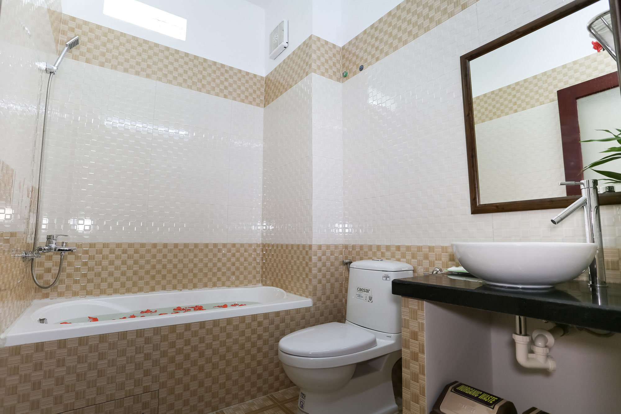 Phoenix Homestay Hoi An Dış mekan fotoğraf